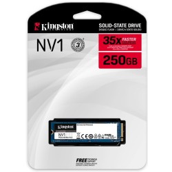 Kingston SSD NV1
